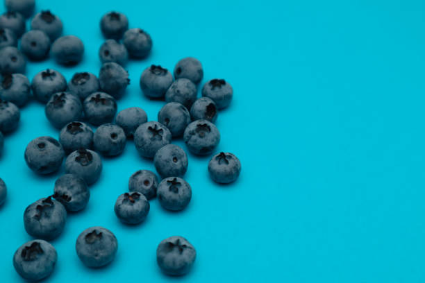 Tasty ripe blueberries on blue background, flat lay with space for text. Organic ingredients for nutritious summer desserts.