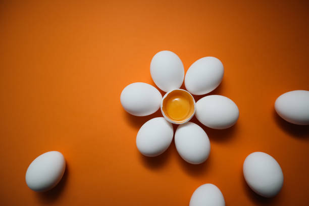istock Flower shaped raw egg on orange background. Few white eggs, whole and broken egg half with a yolk isolated on a white background 2152342350