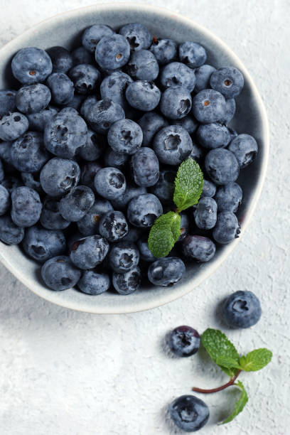 istock organic blueberries in bowl on gray background 2152344044