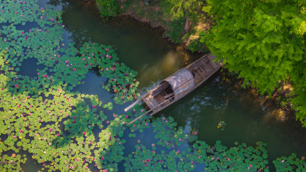 istock Zhongshan Mausoleum Water Lilies 9 2152344828
