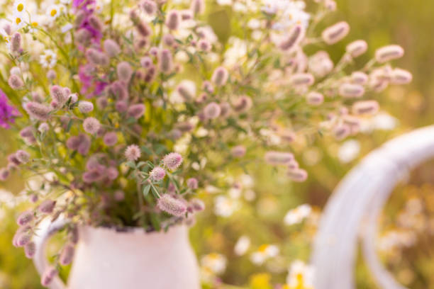 fluffy wildflowers in a vase in the sunlight. very subtle selective artistic focus.