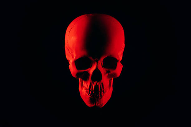 Grinning toy skeleton illuminated by red backlight against a black backdrop, capturing the essence of Halloween decoration. Sweden.