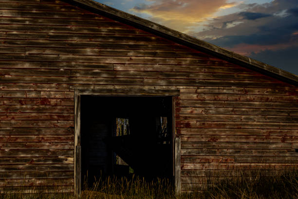 A weathered wooden barn with a gabled roof stands under a cloudy sky. The barn is made of horizontal planks and has a few missing boards. Green evergreen trees surround the barn.