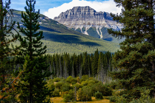 istock Bow Valley Pkwy Banff National Park Alberta Canada 2152352098