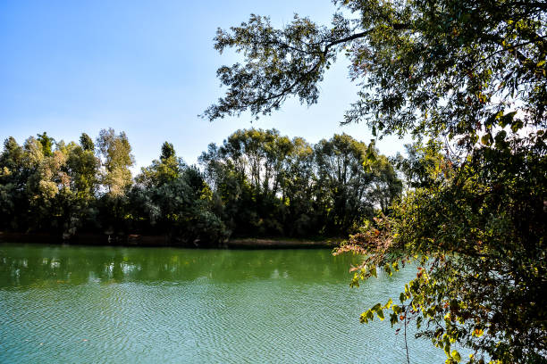 istock A body of water with trees in the background 2152358896