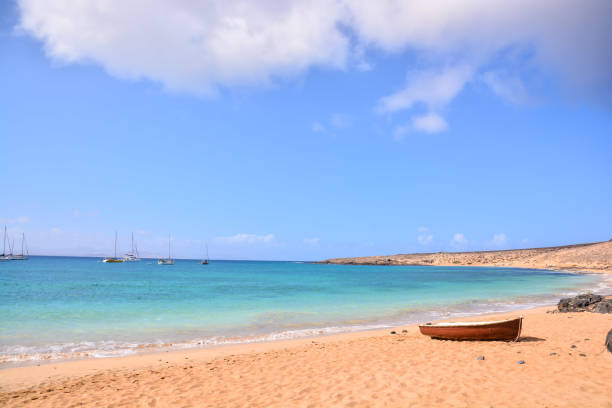 istock Landscape in Tropical Volcanic Canary Islands Spain 2152365378