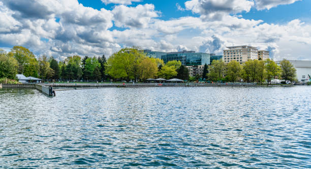 istock Shoreline At Coulon Park 2152366458