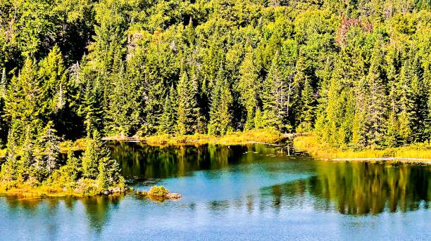 istock A little island in the lake 2152374836