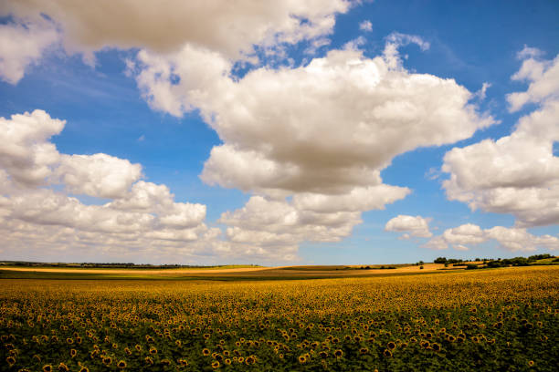 istock European natural countryside 2152375018
