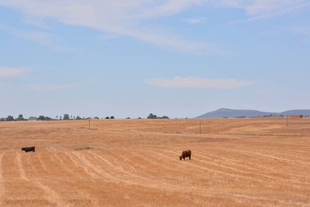 Photo Picture Scenic photography landscape European natural countryside