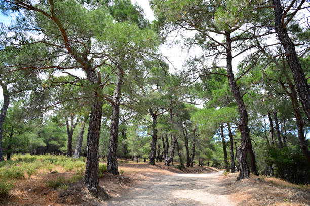 istock A view from the Zeus Altar in Canakkale, Turkey 2152377314