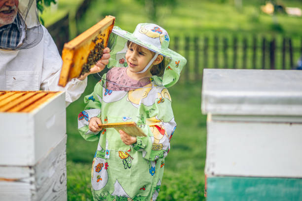 istock Experienced beekeeper grandfather teaches his granddaughter caring for bees 2152384449