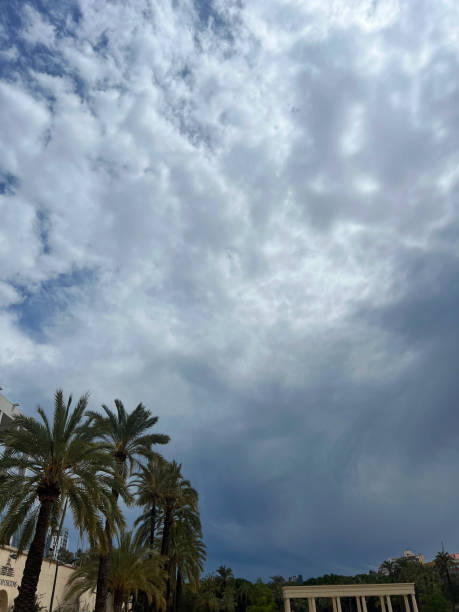 Dramatic cloudy sky over palm trees - perfect for weather-related and nature themes