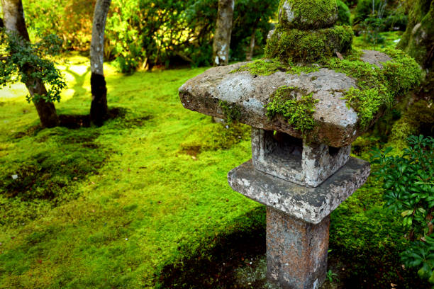 istock An old stone lantern placed in a moss-covered Japanese garden 2152385305