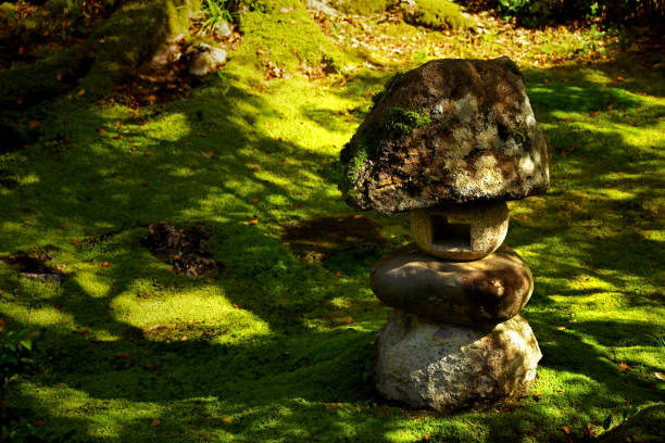 Interior, culture, travel and still life