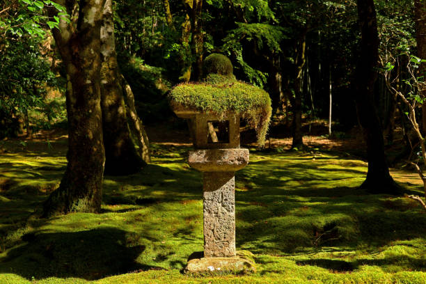 istock An old stone lantern placed in a moss-covered Japanese garden 2152385605