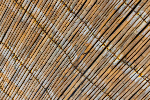 Close-up of wickers, bamboo background. Horizontal, earthy tones.
