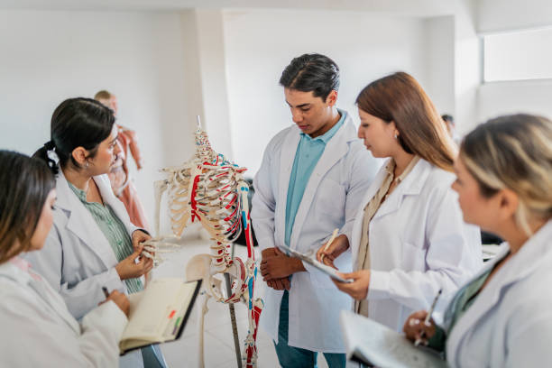 istock Young medical students studying about the human skeleton during class at university 2152388439