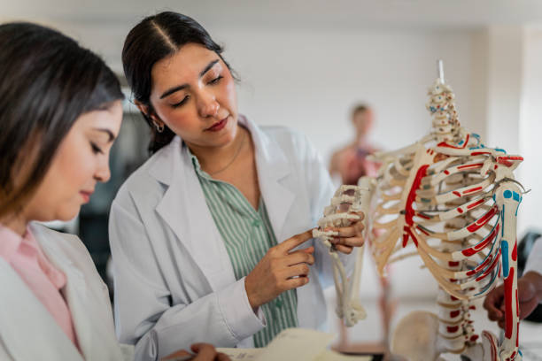 istock Young medical students women studying the human skeleton during class at university 2152388453