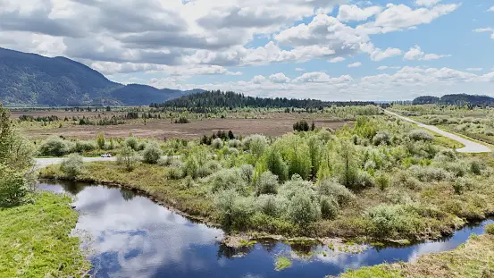 Imágenes de Río Pitt Descarga imágenes gratuitas en Unsplash