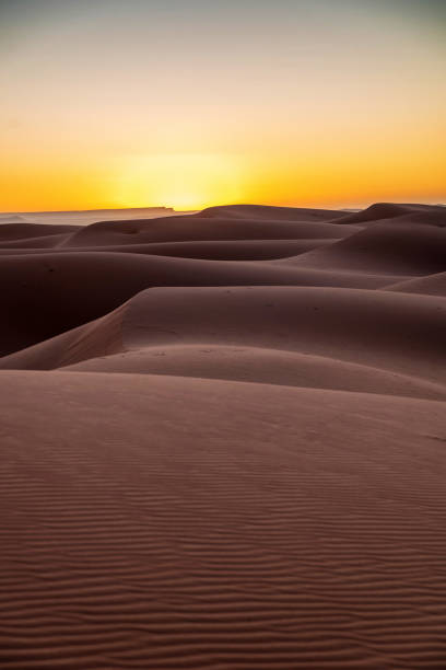 istock Sunrise in the Sahara Desert 2152396428