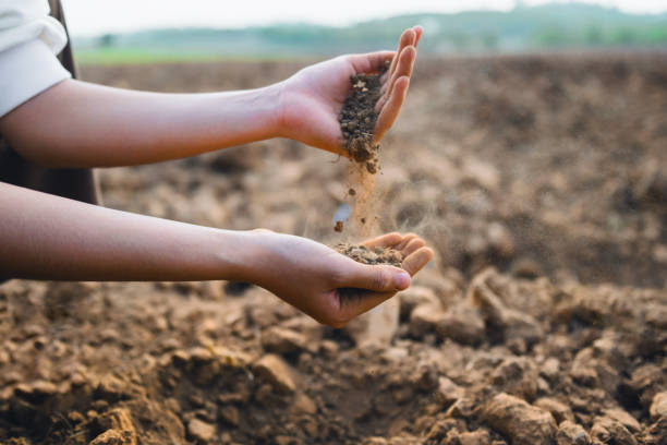 istock person is holding two hands over a dirt field 2152399446