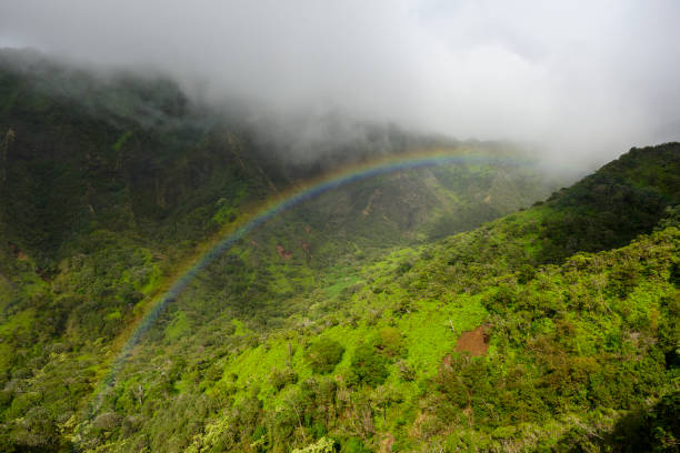 Photo taken in Waimea, United States