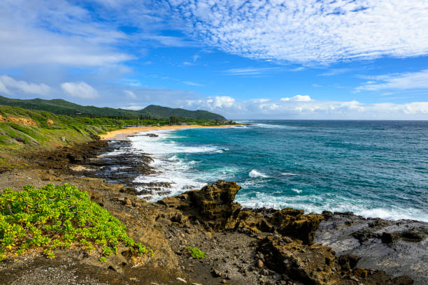 Sandy Beach at the east coast of Oahu, Hawaii