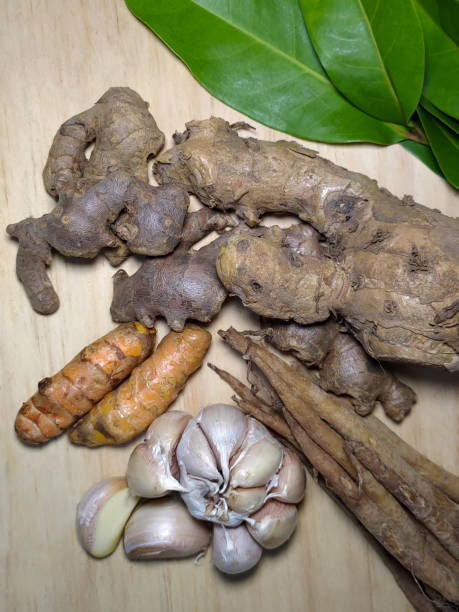 istock Various kind of herbs and spices 2152406582