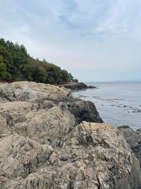 istock Whidbey Island Beach 2152407318