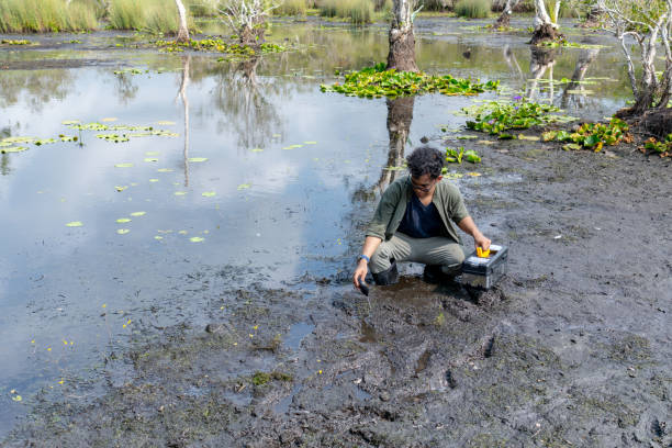 istock Middle age Asian ecologist male collecting and checking soil sample from the swamp by using pH meter to measure pH of soil in the rainforest for analyzing soi quality in his research. Environmental and conservation research 2152411647