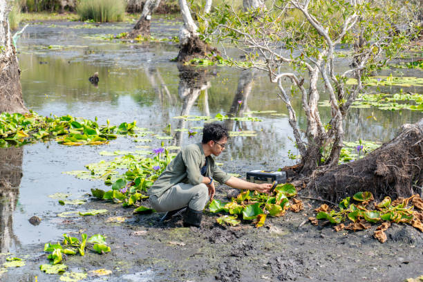 istock Middle age Asian ecologist male checking soil sample from the swamp by using pH meter to measure pH of soil in the rainforest for analyzing soi quality in his research. Environmental and conservation research 2152411652