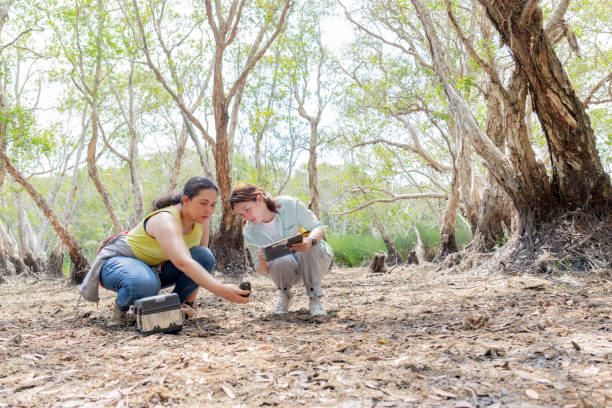 istock Middle age Asian researcher in yellow shirt checking soil sample from the swamp by using pH meter to measure pH of soil in the rainforest while her coworker, female in green shirt recording data into paper at botanic garden. Environmental and conservation 2152411708