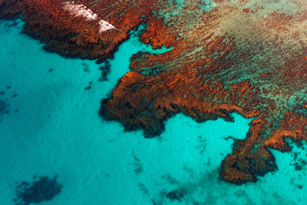 Wild display of colours in Western Australia