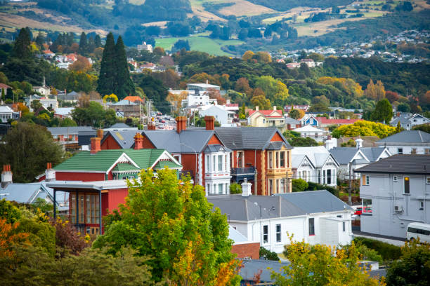 istock Residential Houses in Dunedin 2152417494