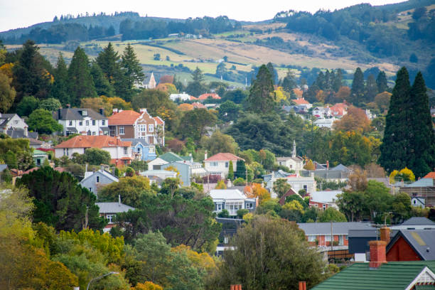 Residential Houses in Dunedin