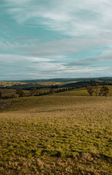 Afternoons in the hills on the farm