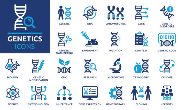 Genetics icon set. Vector solid icons collection. Containing DNA, gene, chromosomes, heredity, genome, genetic, biology, GMO and more. biotechnology stock illustrations
