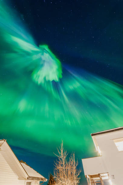 istock Northern Lights in Lofoten, Norway 2152435683