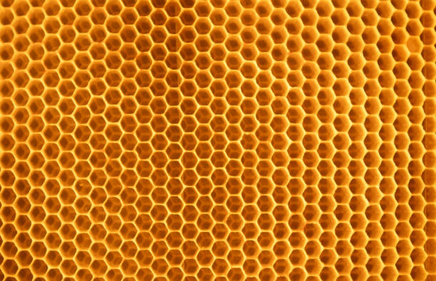 istock Macro image showcasing the intricate pattern and texture of a natural honeycomb 2152438253