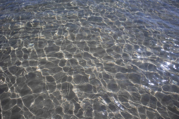 istock Transparent water surface shimmering with sunlit ripples 2152438286