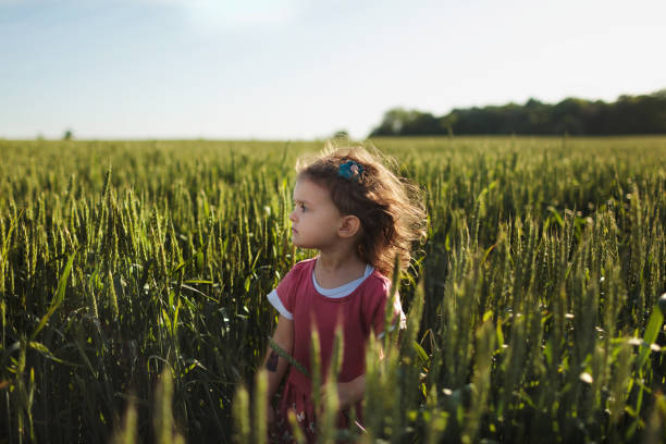 istock Young girl in wheat field. 2152439558