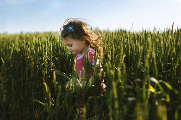 istock Young girl in wheat field. 2152439649