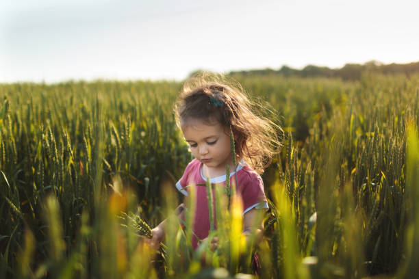 istock Young girl in wheat field. 2152439770