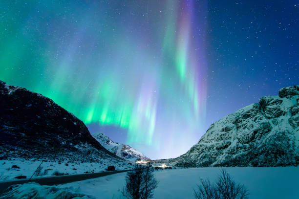 istock Northern Lights in Lofoten, Norway 2152440439
