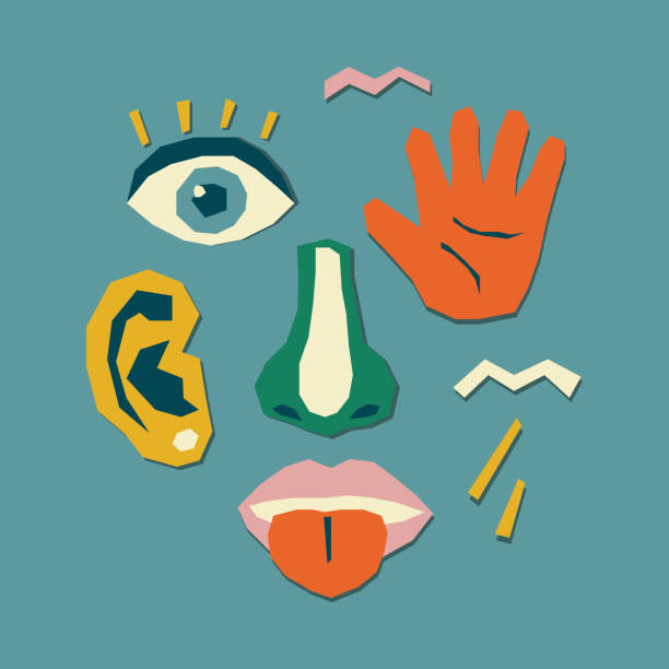 The five human senses The five human senses. Collage of a human face from pieces of cut paper.Vector stock illustration. visual sense stock illustrations