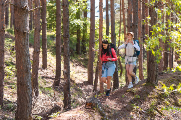 istock Two female hikers hiking outdoors in nature 2152441282