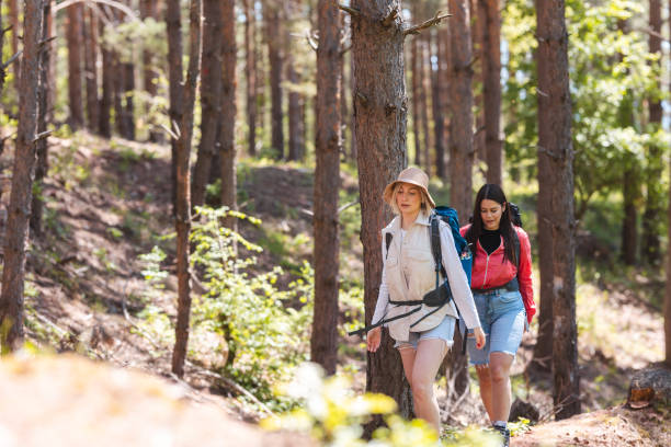 istock Two female hikers hiking outdoors in nature 2152441310