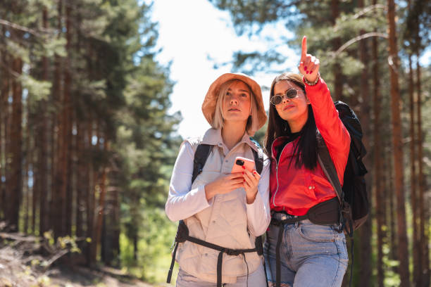 istock Two beautiful hikers looking at a map on their phone while hiking outdoors 2152441454