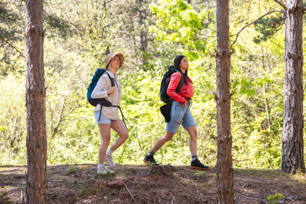 istock Two young female hikers hiking in the woods 2152441621